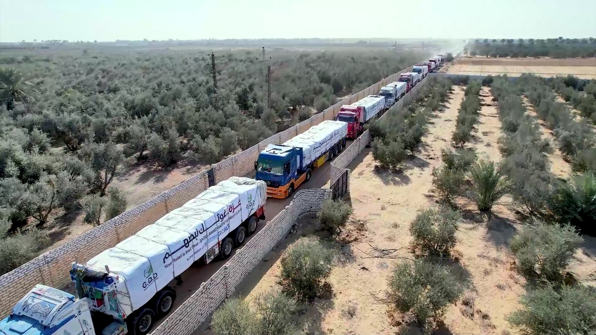 غزي دستك تسيير القافلة 11 الإغاثية من مصر لقطاع غزة