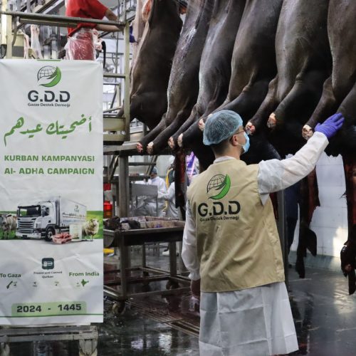 Qurban Campaign Harvest 2024 – 1445