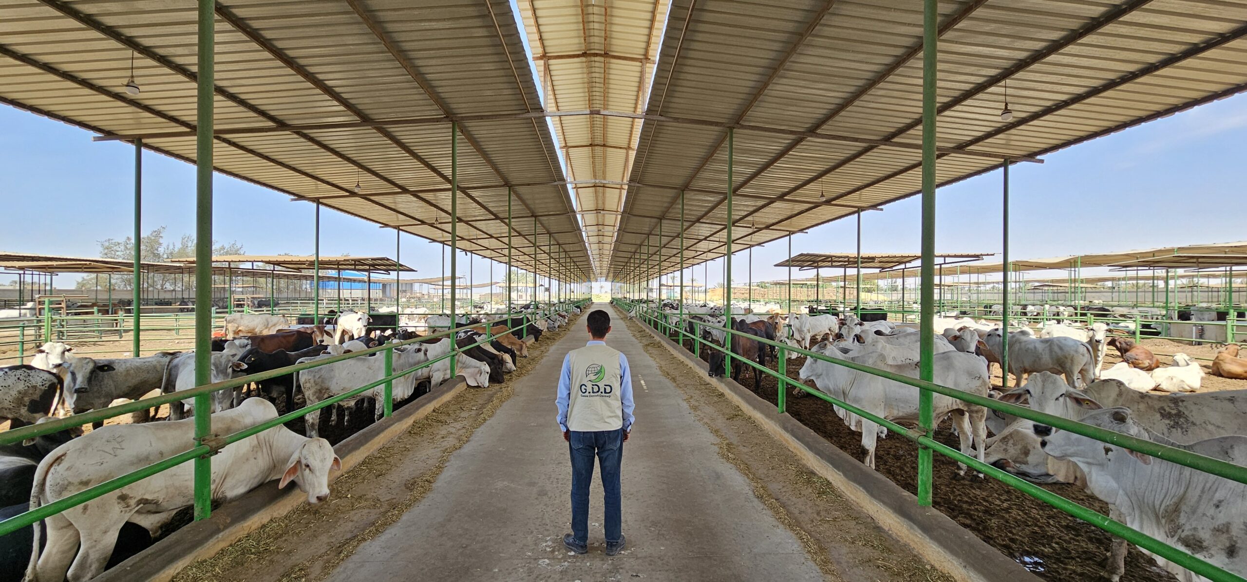 ٢٠٢٤٠٥٣٠_١٥٠٩٤٩