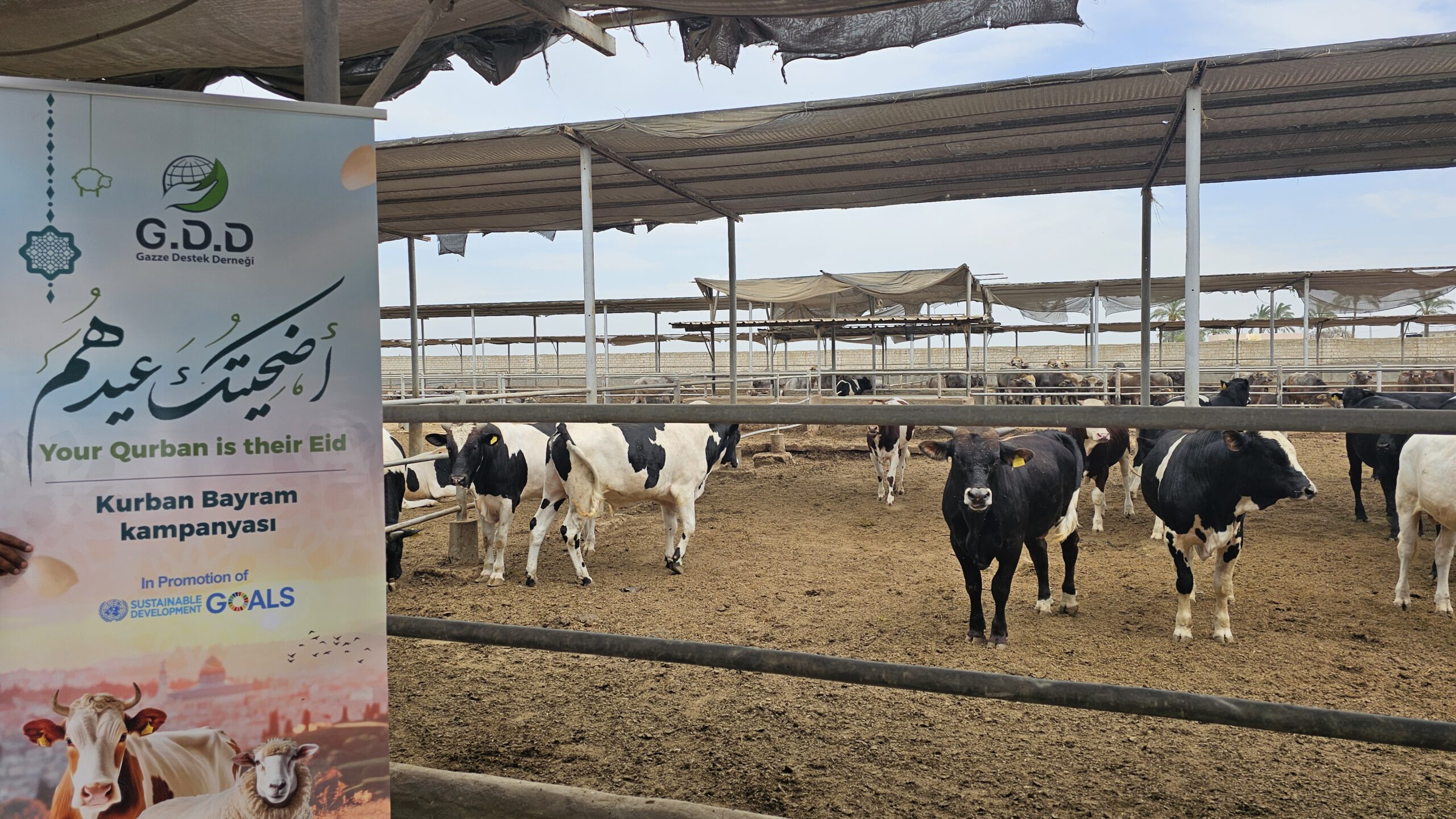 ٢٠٢٥٠٤٢٩_١٥١١٥٩