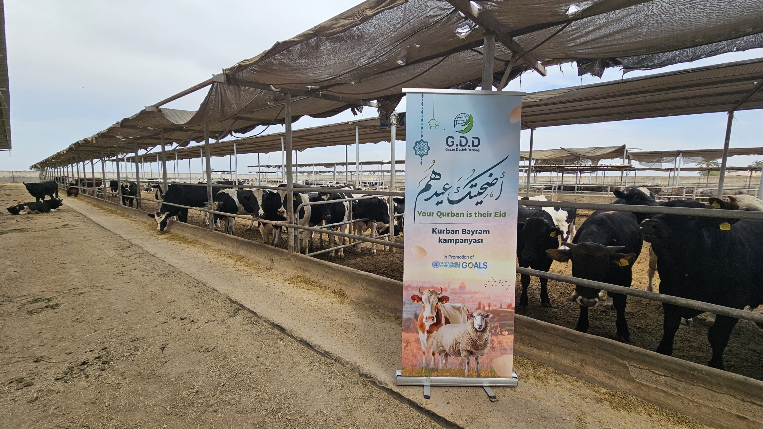 ٢٠٢٥٠٤٢٩_١٥١٨١٠