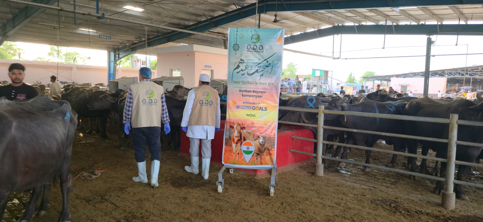 WhatsApp Image 2025-06-05 at 6.00.44 PM