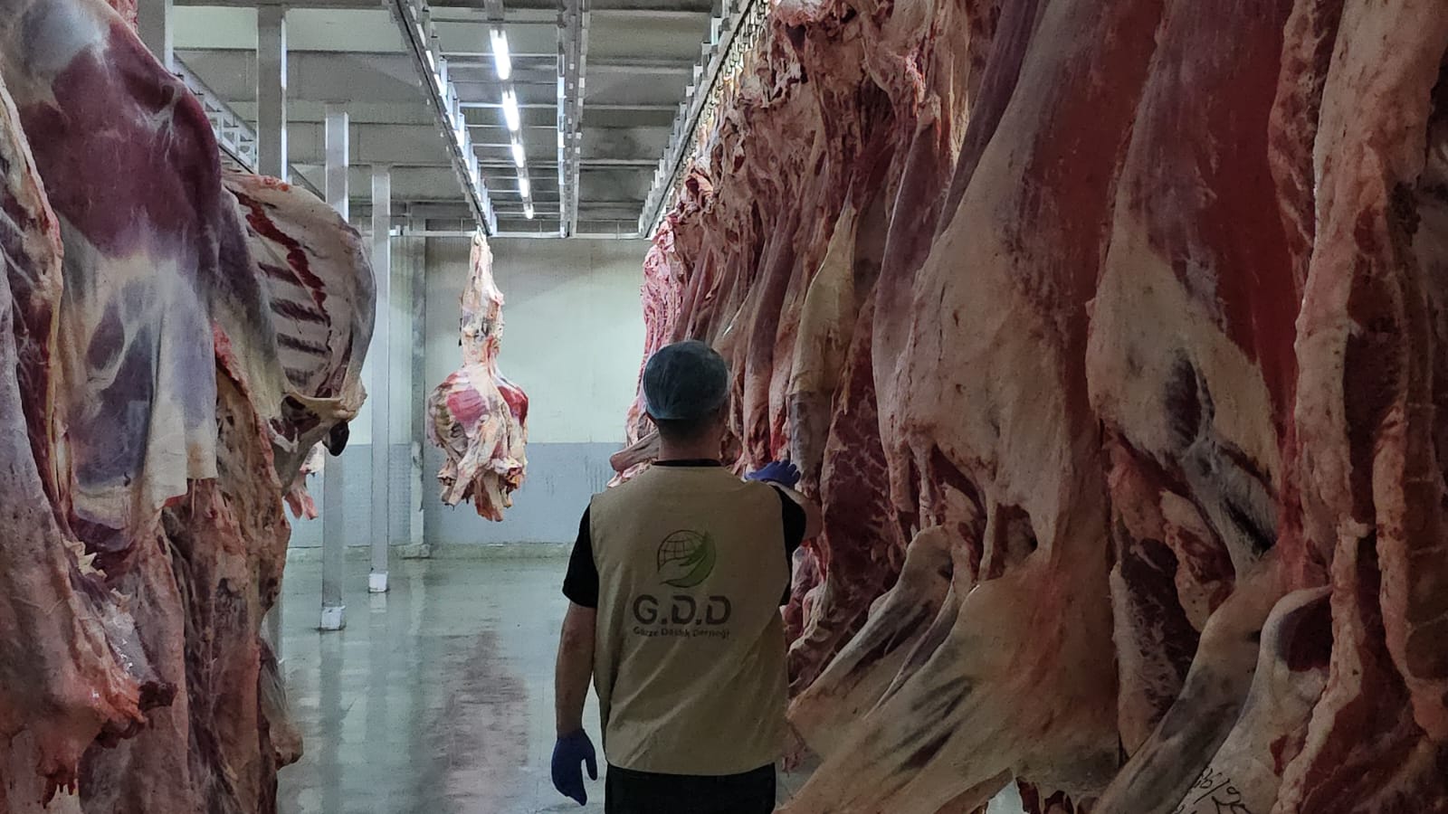 WhatsApp Image 2025-06-05 at 6.28.43 PM