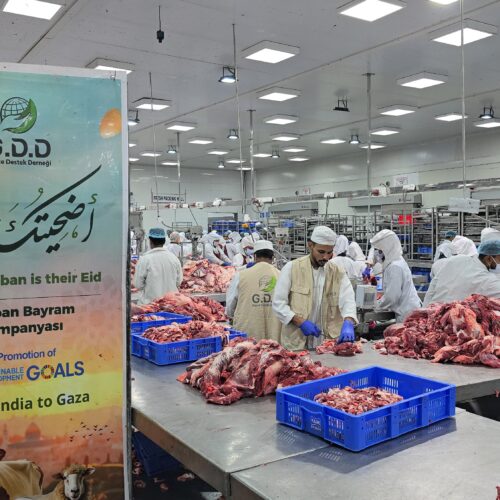 GDD continues Qurban Campaign (freezing & canning)