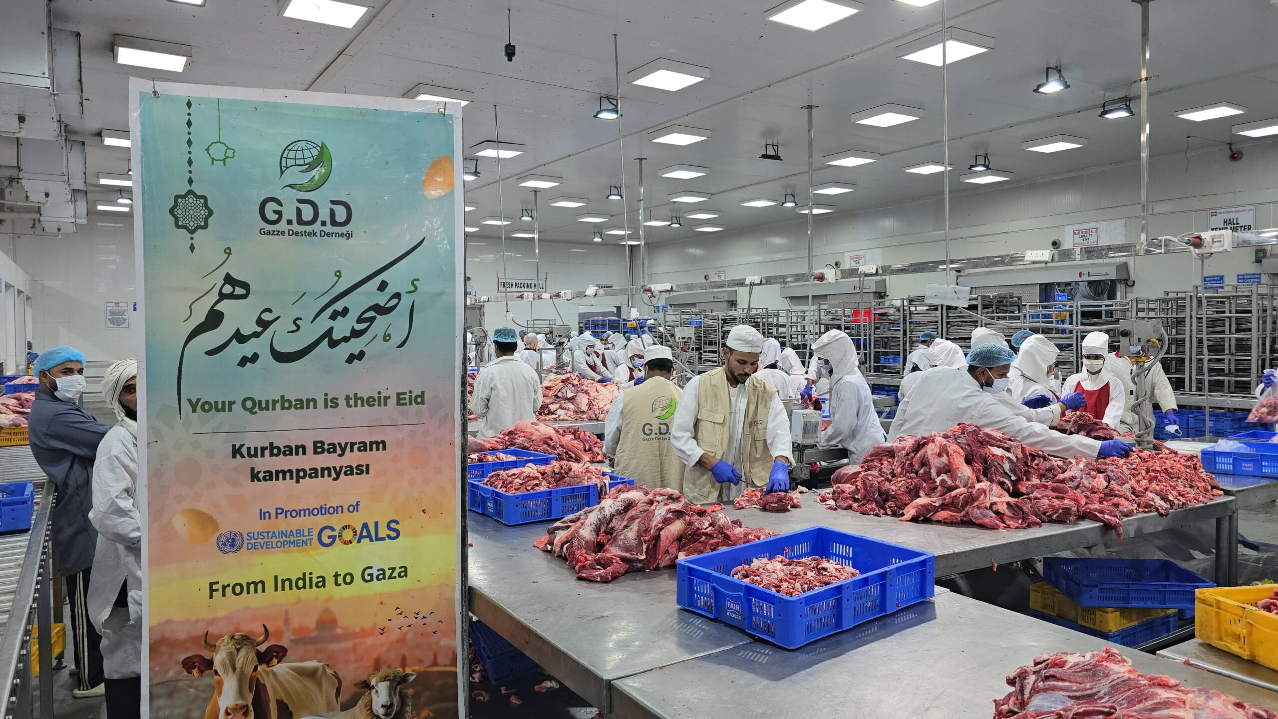 غزي دستك تستمر بمشروع الأضاحي لهذا العام (تجميد – تعليب)