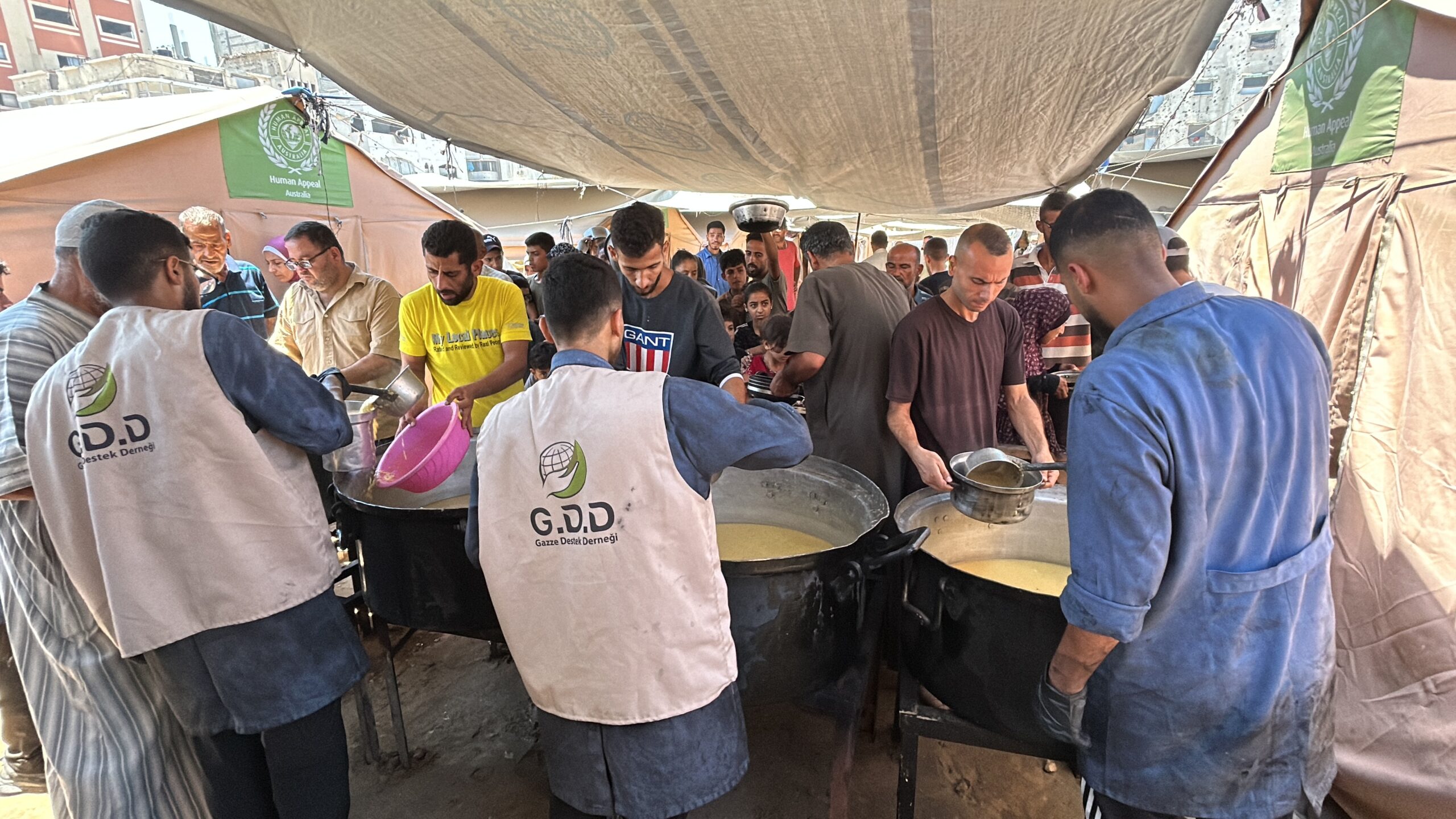 ٢٠٢٥_٠٧_٠٣_١٢_٠١_IMG_2793