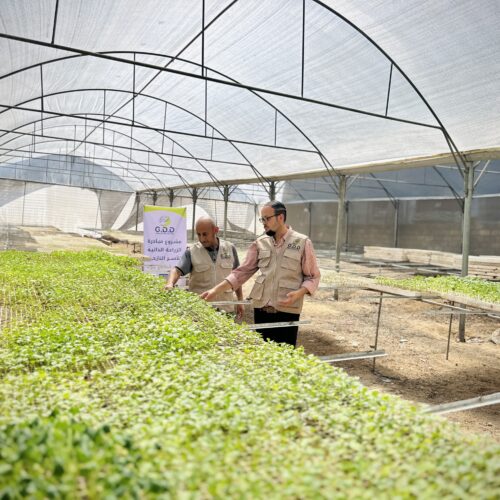 غزي دستك تبدأ في تنفيذ مشروع الطرود الزراعية للنازحين في مخيمات الإيواء