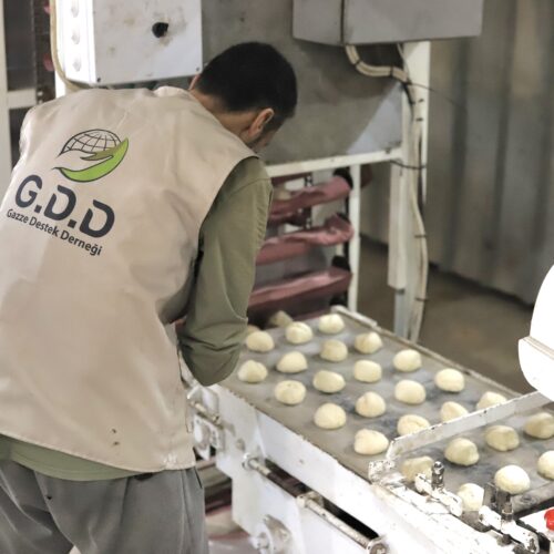 GDD is working to maintain a bakery for the displaced people in Gaza